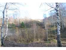 DSC_0127.JPG