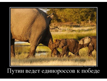 ����� - ����.jpg