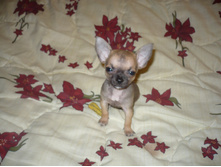 21.10.2009 23:29:37