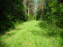 IMGP0366.JPG