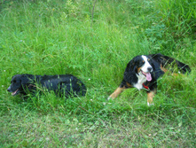 IMGP0398.JPG