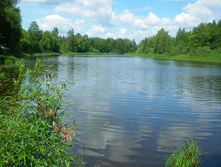 IMGP0404.JPG