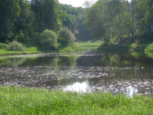 IMGP0409.JPG