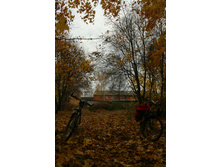 22.10.2009 22:20:59