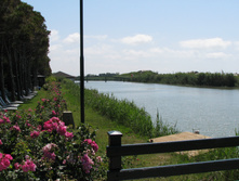 IMG_9473.JPG
