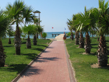 IMG_9480.JPG