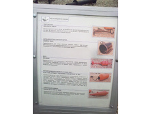 07052012459.jpg