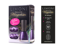 124,38 ���.   ����� Magnetism 6