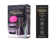 124,38  ���.  ����� Magnetism 1