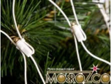 �083206 ��.�������� ����� ������ �����, �������� ������� �����. ������ 180�240��. 8 �������. 320 ����..jpeg