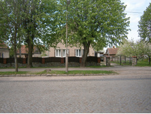 P5050462.JPG