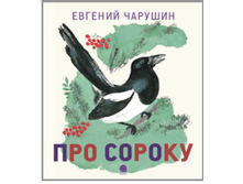 5695707.soroka.png