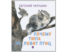 5695710.tupa.png