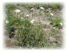 DSCN3510.JPG