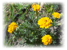 DSCN3521.JPG