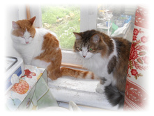 DSCN3528.JPG