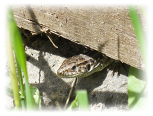 DSCN3544.JPG