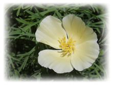DSCN3549.JPG