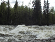 DSCF3121.jpg