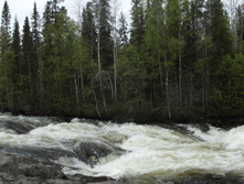 DSCF3106.jpg