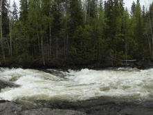 DSCF3107.jpg