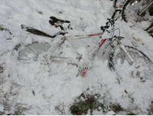 01.11.2009 21:39:55
