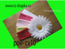 pov-cv10