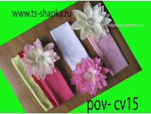pov-cv15