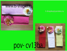 pov-cv13ba