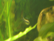 03.11.2009 21:49:26
