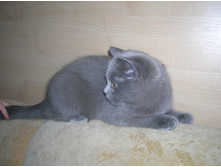 DSCN3172.JPG