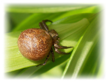 DSCN3607.JPG