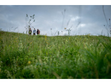 20120616-DSC05170.jpg