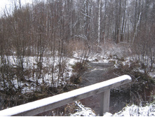 2012-11-10_10-08-49.jpg