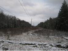 2012-11-10_10-40-58.jpg