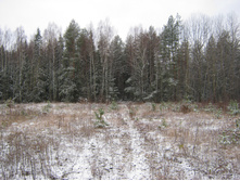 2012-11-10_11-53-57.jpg