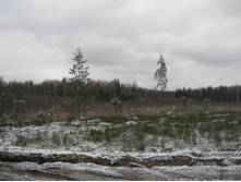 2012-11-10_12-25-49.jpg