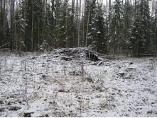 2012-11-10_13-22-37.jpg