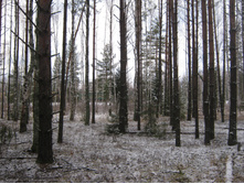 2012-11-10_15-44-43.jpg