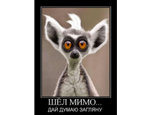 06.11.2009 11:58:47