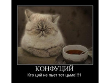 06.11.2009 15:33:49