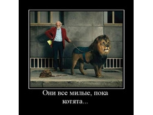 06.11.2009 15:39:27