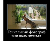 06.11.2009 15:39:48