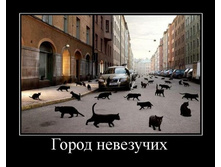 06.11.2009 15:47:51