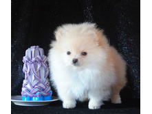 DSC_4633.JPG