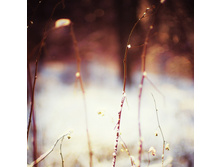 02.12.2010 2:24:35