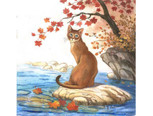 07.11.2009 6:41:04
