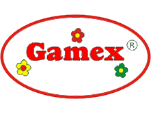 gamex.gif