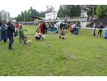 2012_06_03_1256.JPG