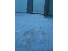 IMG_5376.jpg